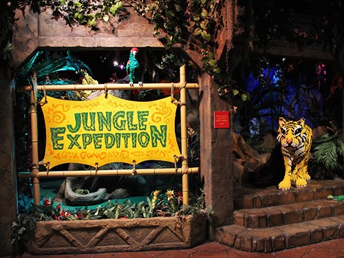 Jungle Expedition