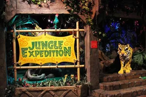 Jungle Expedition