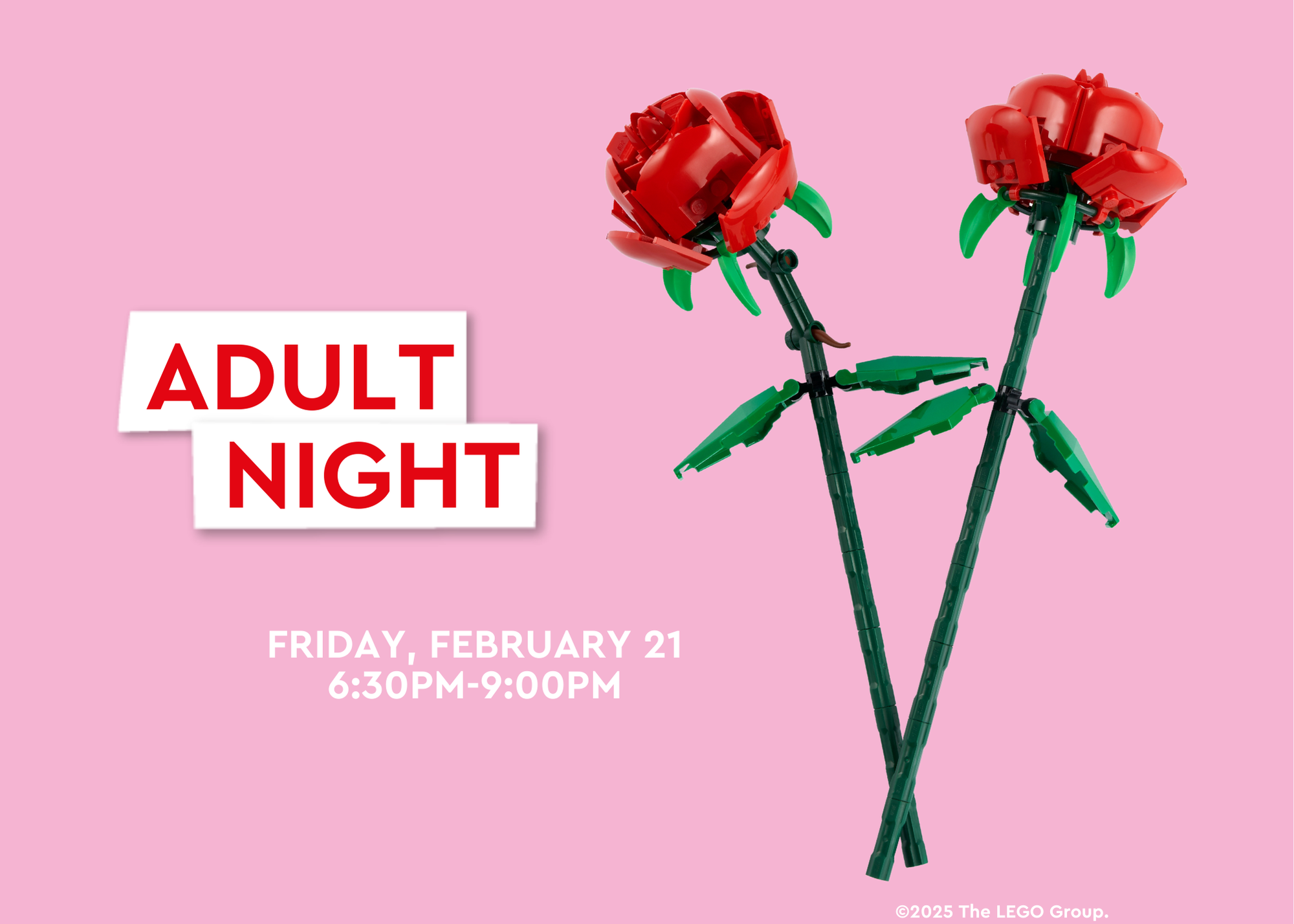 Adult Night