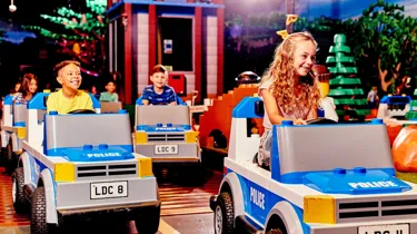 City Forest Ranger Pursuit