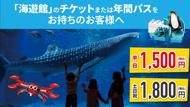 海遊館チケット 年間パスポートホルダー限定キャンペーン レゴランド ディスカバリー センター大阪