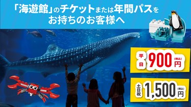 海遊館チケット 年間パスポートホルダー限定キャンペーン レゴランド ディスカバリー センター東京